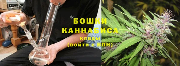 ПСИЛОЦИБИНОВЫЕ ГРИБЫ Аркадак