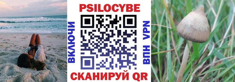 Псилоцибиновые грибы прущие грибы  Сясьстрой 